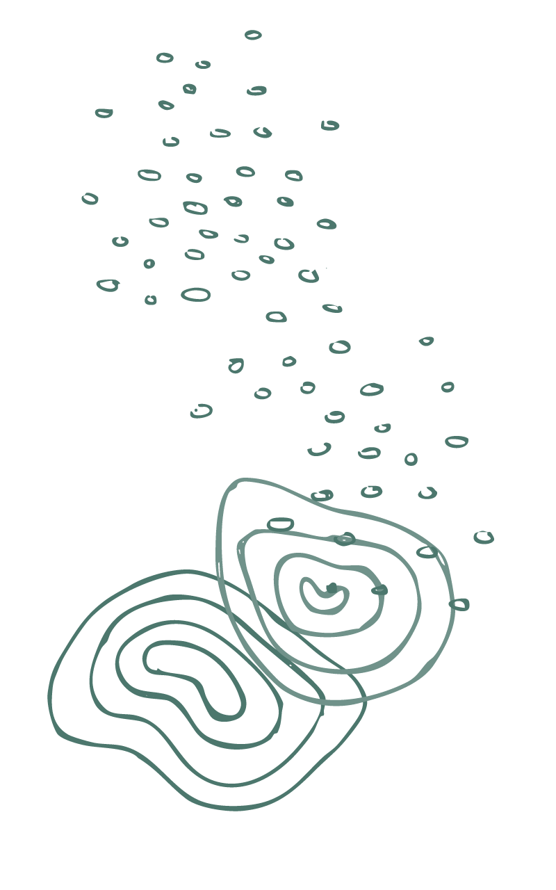 Handgezeichnete Grafik mit zwei überlappenden, organisch geformten Ringstrukturen am unteren Bildrand und vielen kleinen kreisförmigen Punkten, die von oben nach unten wie fallende Impulse oder Tropfen wirken. das Graphik ist grün.